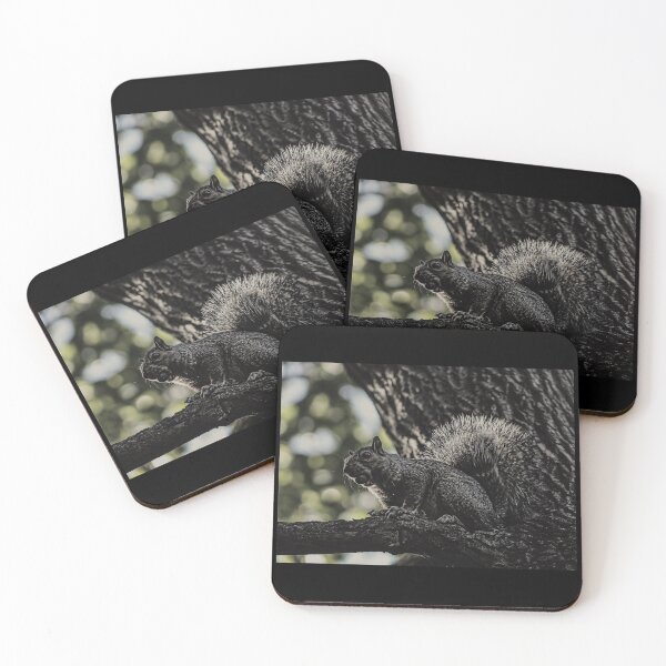 Item preview, Squirrel in Tree with an Acorn designed and sold by Chrissyleeadam.