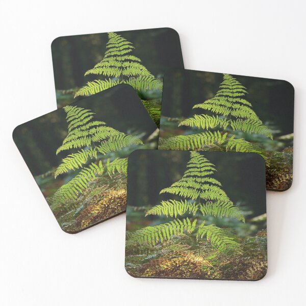 Item preview, Digital photograph,Sunlit Fern designed and sold by SimonJohnson1.