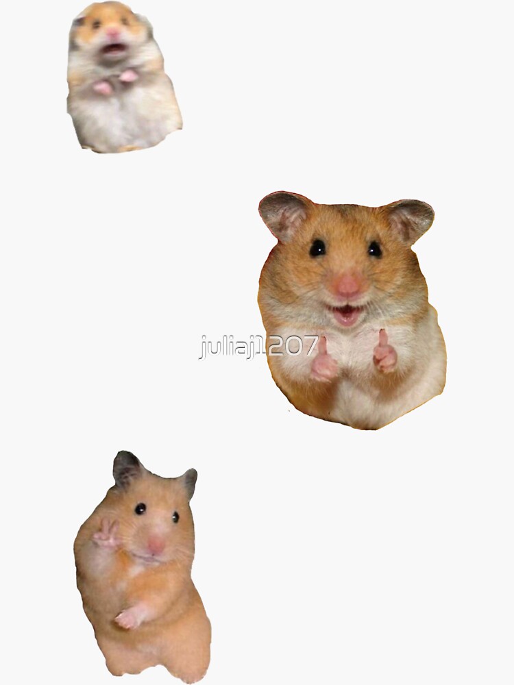 "Hamster Meme Sticker Pack" Sticker for Sale by juliaj1207 | Redbubble