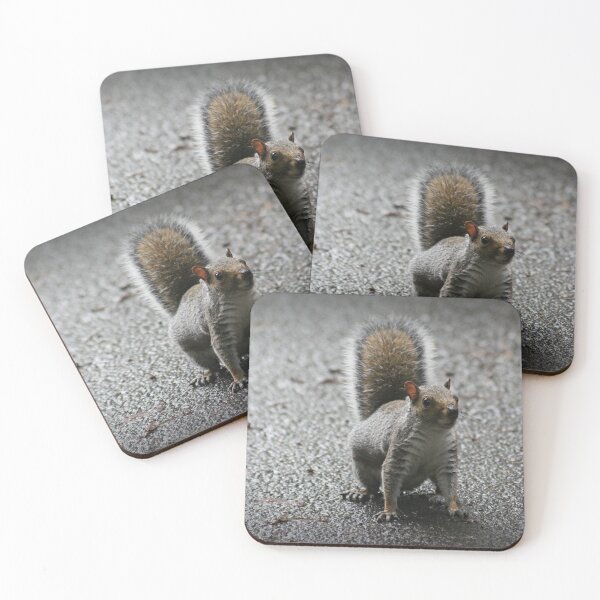 Item preview, I believe you have nuts ! designed and sold by tigerr.