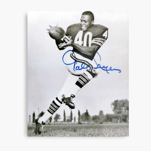 Gale Sayers, the Kansas Comet, Chicago Bears Metal Print by Thomas