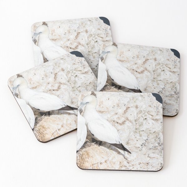 Item preview, Northern gannet pair displaying affection designed and sold by wellsie82.