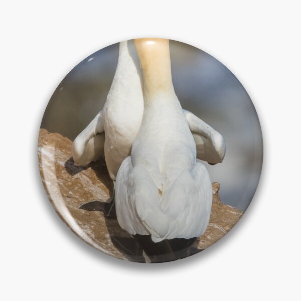 Item preview, Northern gannet in courtship designed and sold by wellsie82.