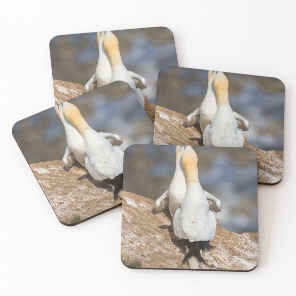 Item preview, Northern gannet in courtship designed and sold by wellsie82.