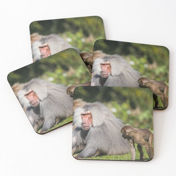 Item preview, Hamadryas baboon infants playing designed and sold by wellsie82.