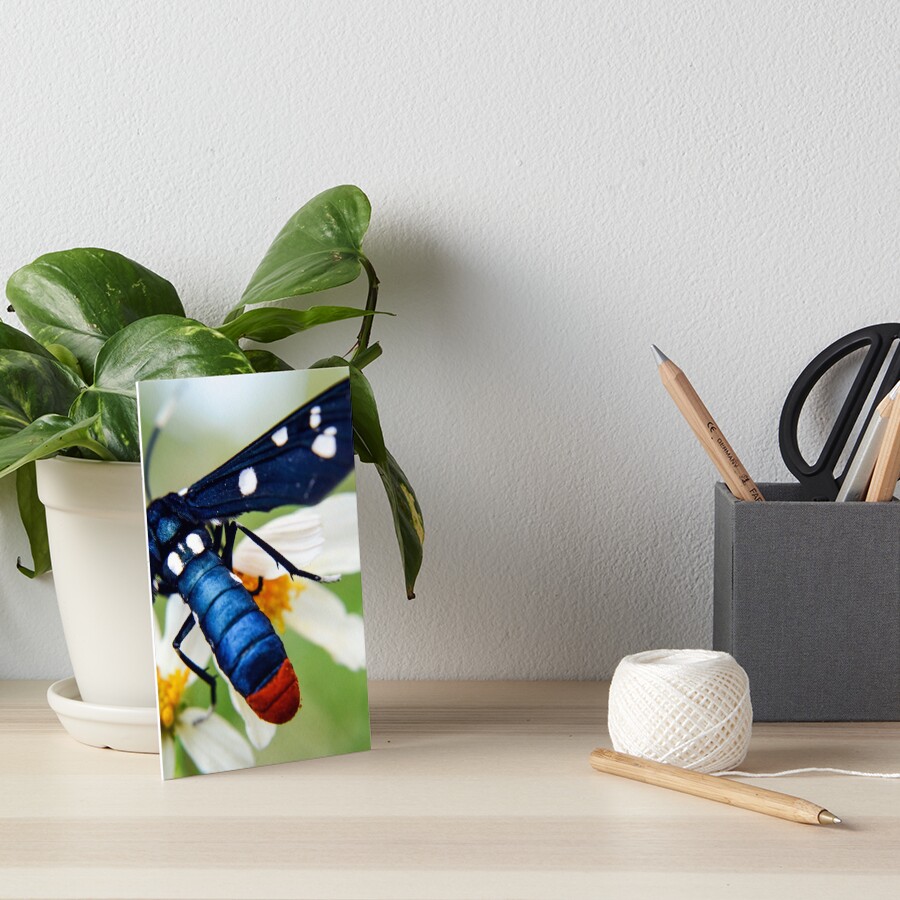Item preview, Art Board Print designed and sold by RewskiPhotos.