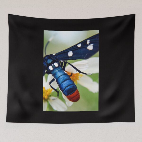 Item preview, blue velvet moth designed and sold by RewskiPhotos.