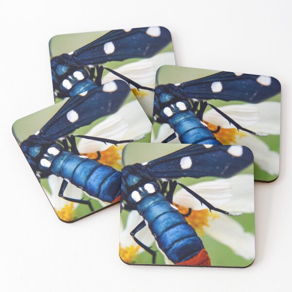 Item preview, blue velvet moth designed and sold by RewskiPhotos.