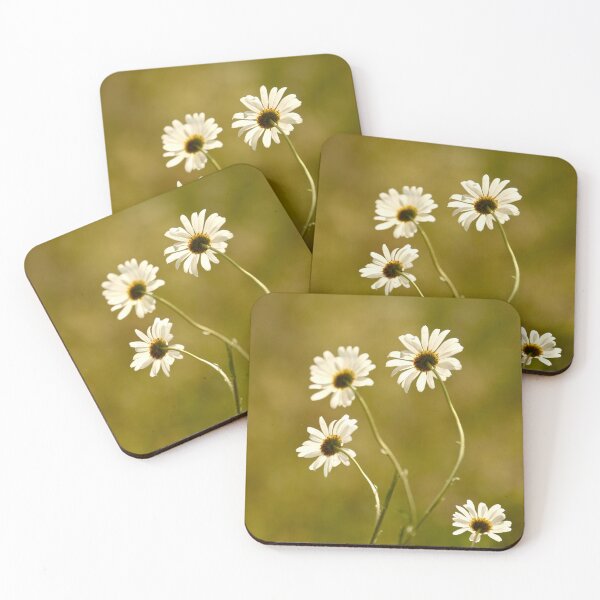 Item preview, Digital Photograph, Four Daisy's  designed and sold by SimonJohnson1.