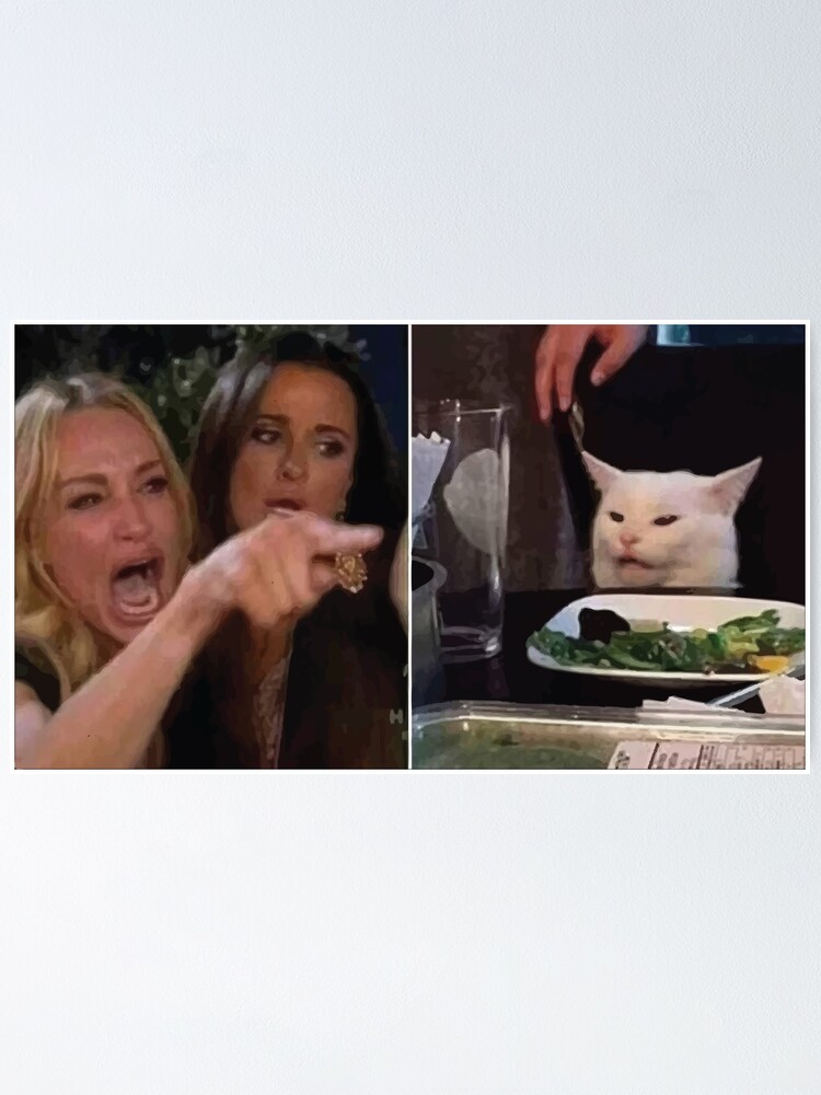 Poster Femme Hurlant Au Chat Meme Par Thesweven Redbubble