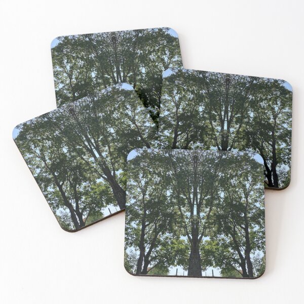Item preview, Trees  designed and sold by Amanda1775.