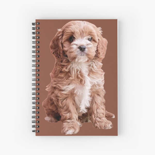 Vista previa del artículo con la obra «Cavapoo», diseñado y vendido por thecavapootales.