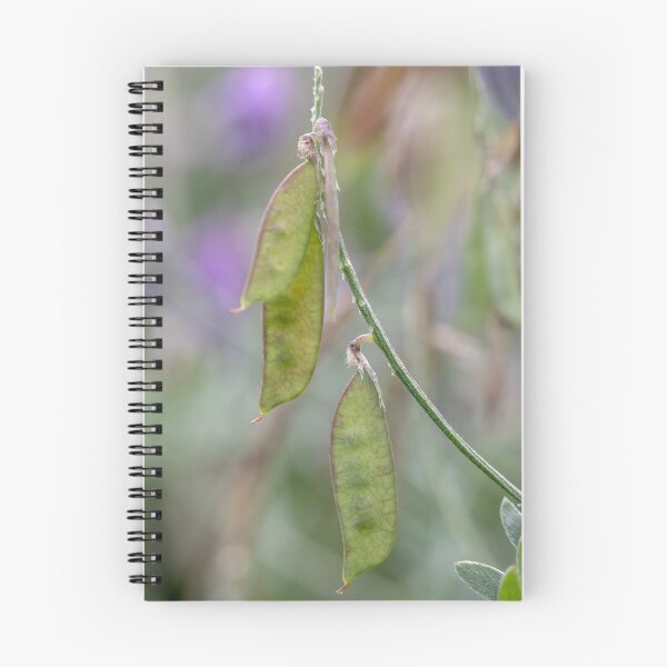 Item preview, Tufted vetch seed pods designed and sold by AWLPIX.