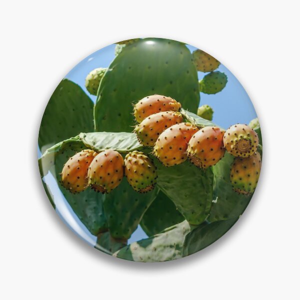 Item preview, Orange fruits of Opuntia ficus-indica (prickly pear) designed and sold by lena-maximova.