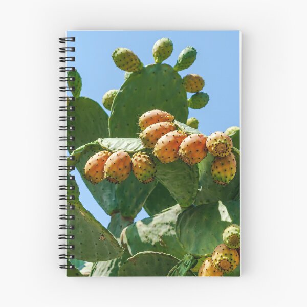 Item preview, Orange fruits of Opuntia ficus-indica (prickly pear) designed and sold by lena-maximova.