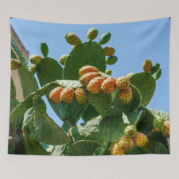 Item preview, Orange fruits of Opuntia ficus-indica (prickly pear) designed and sold by lena-maximova.