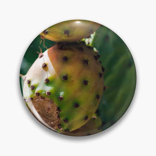 Item preview, Close up to the orange fruits of Opuntia ficus-indica (prickly pear) designed and sold by lena-maximova.