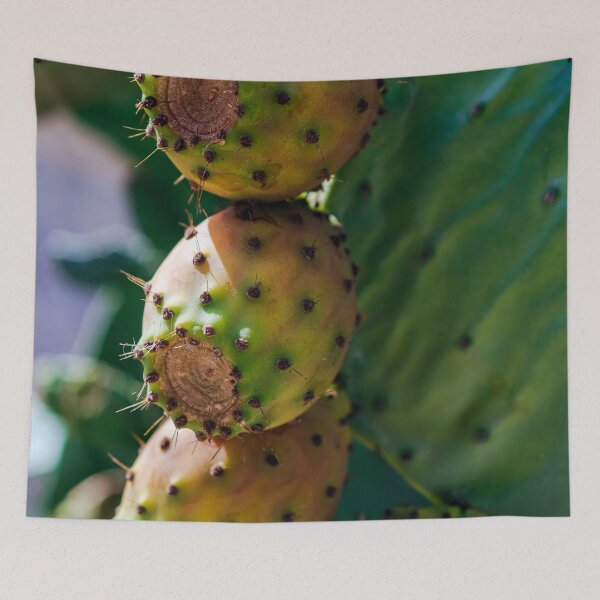 Item preview, Close up to the orange fruits of Opuntia ficus-indica (prickly pear) designed and sold by lena-maximova.