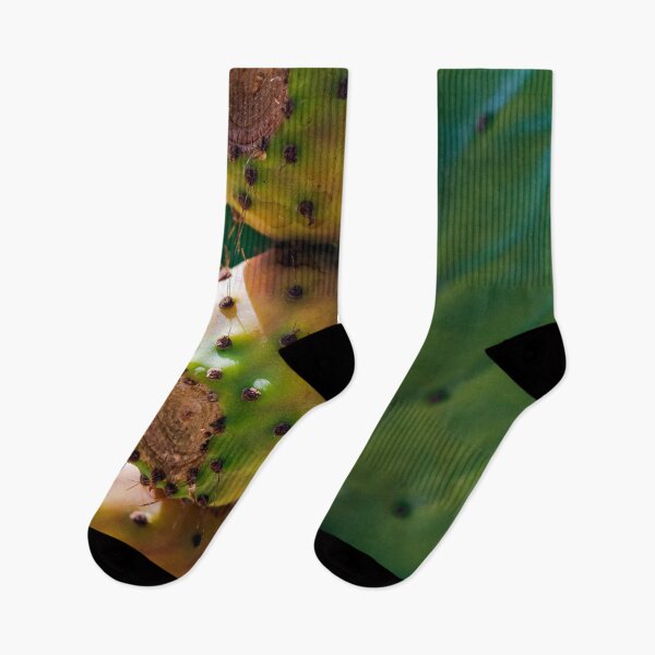 Item preview, Close up to the orange fruits of Opuntia ficus-indica (prickly pear) designed and sold by lena-maximova.