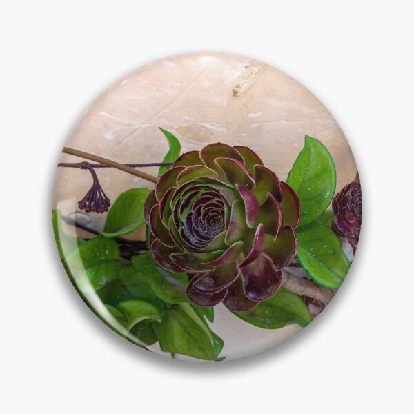 Item preview, Aeonium arboreum 'Velour' flowers designed and sold by lena-maximova.