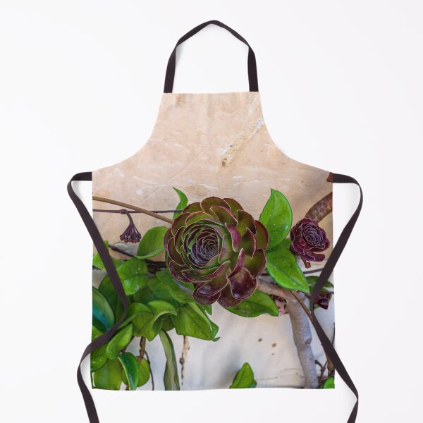 Item preview, Aeonium arboreum 'Velour' flowers designed and sold by lena-maximova.