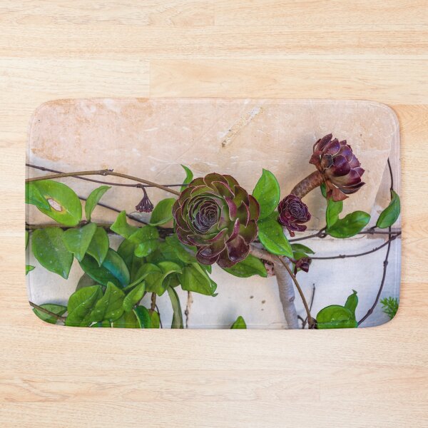 Item preview, Aeonium arboreum 'Velour' flowers designed and sold by lena-maximova.