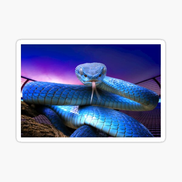 Pit Viper Stickers | Redbubble
