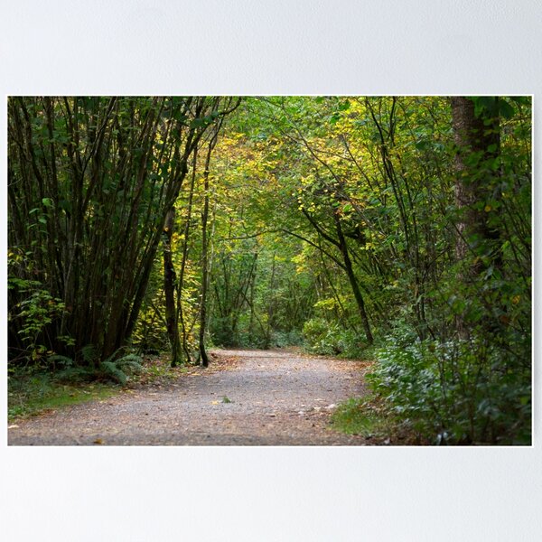 Item preview, Trail throught the Forest designed and sold by Michael Russell Photography.