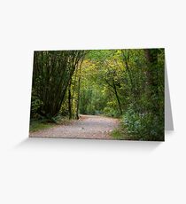 Trail throught the Forest Greeting Card