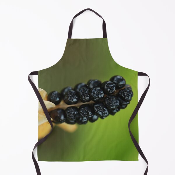 Artikelvorschau, Blackberry Lily Seeds entworfen und verkauft von StampCity.