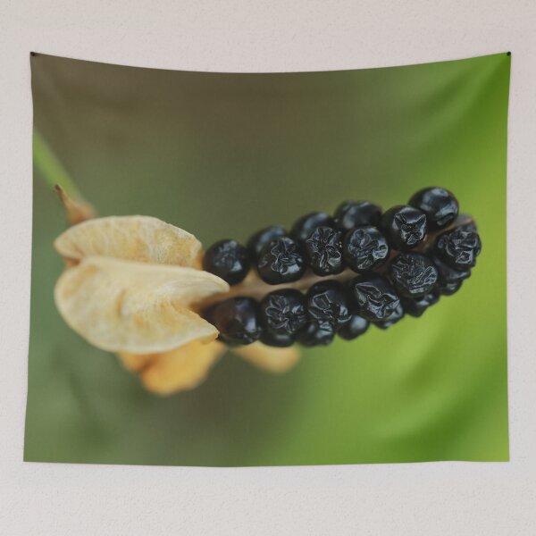 Item preview, Blackberry Lily Seeds designed and sold by StampCity.