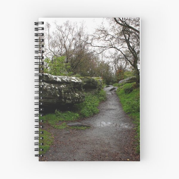 Item preview, Brimham Rocks - Nidderdale Boulders - Study I designed and sold by BritishYank.