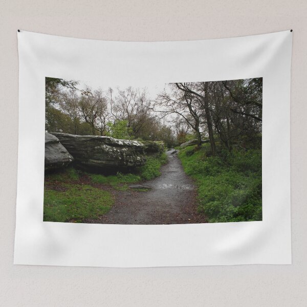 Item preview, Brimham Rocks - Nidderdale Boulders - Study I designed and sold by BritishYank.