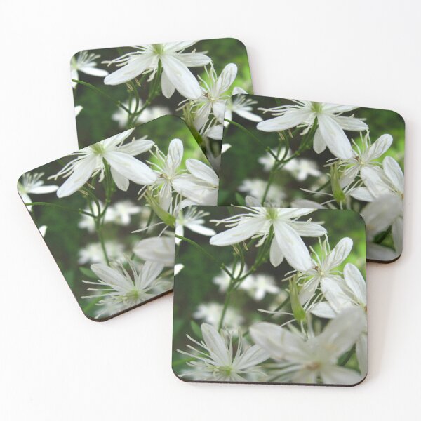 Item preview, Closeup White Flowers Photograph designed and sold by MNKee.