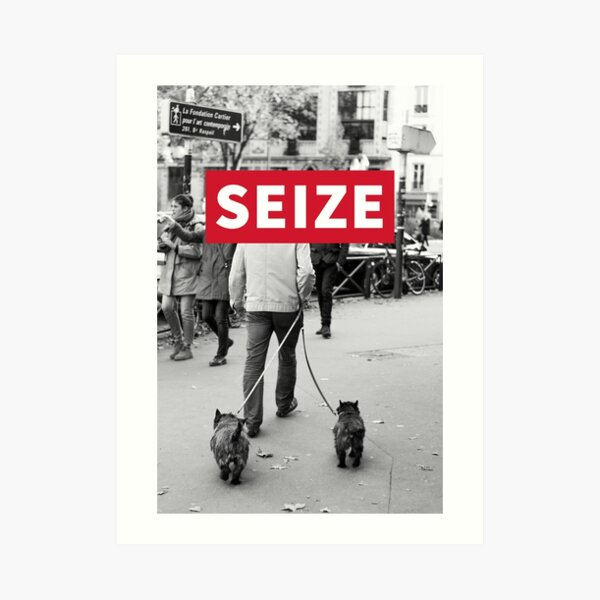 STREET SEIZE DOG Impression artistique