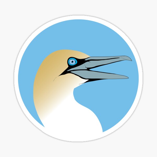 Northern Gannet head Sticker