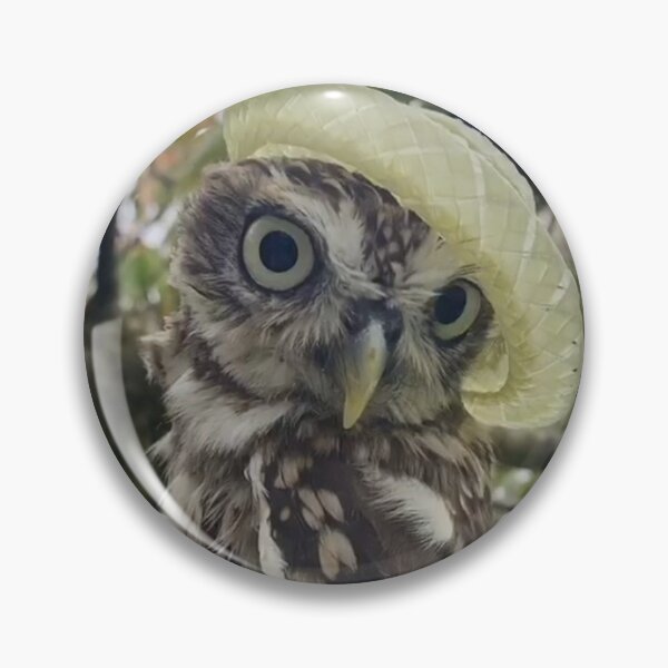 Item preview, Posing owl  designed and sold by GilbertOwl.