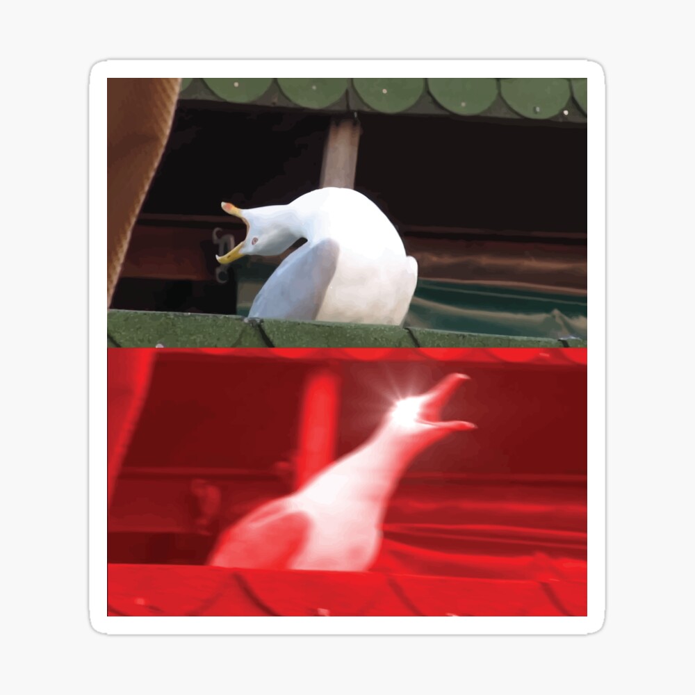 Seagull Meme Print.