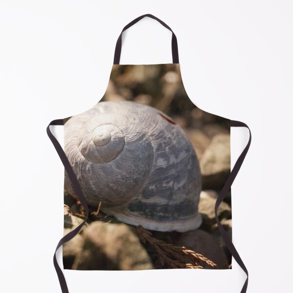 Item preview, Shell in Sunlight designed and sold by jalfc46.