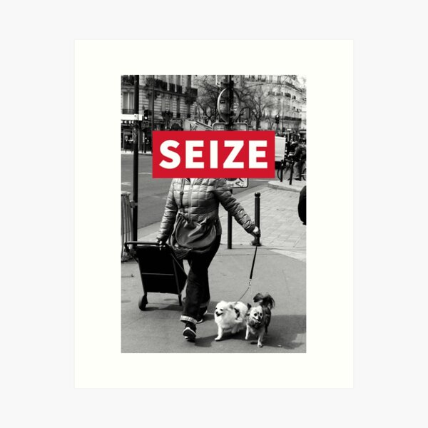 STREET SEIZE LITTLE DOGS Impression artistique