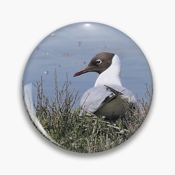 Item preview, r2437/ ornithologique-du-teich  Mouette rieuse  2018 par Okaio Créations - Olavia-Olao     designed and sold by o.okaïo.