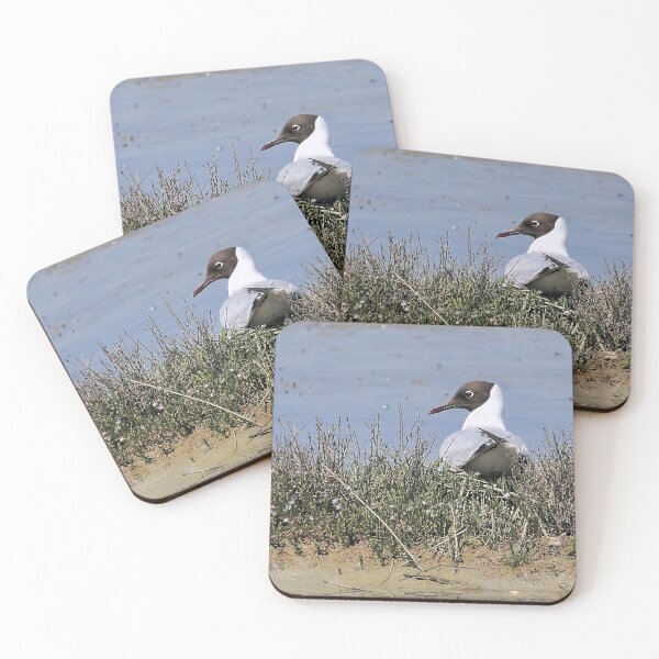 Item preview, r2437/ ornithologique-du-teich  Mouette rieuse  2018 par Okaio Créations - Olavia-Olao     designed and sold by o.okaïo.