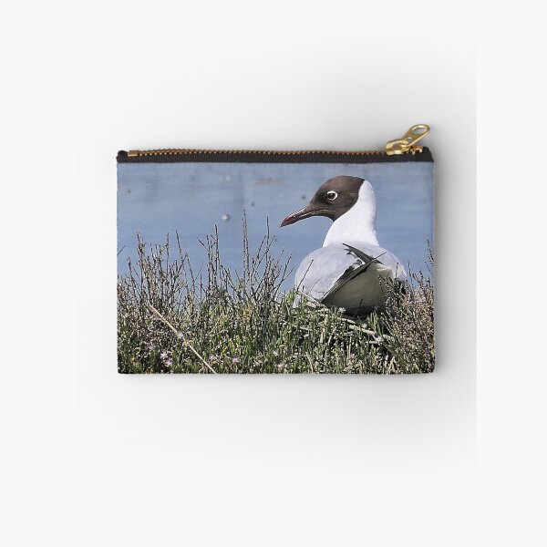 Artikelvorschau, r2437/ ornithologique-du-teich Mouette rieuse 2018 par Okaio Créations - Olavia-Olao entworfen und verkauft von o.okaïo.