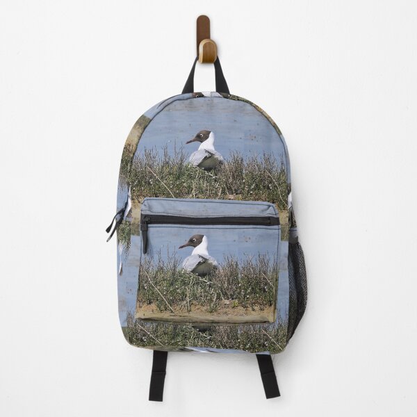 Item preview, r2437/ ornithologique-du-teich  Mouette rieuse  2018 par Okaio Créations - Olavia-Olao     designed and sold by o.okaïo.