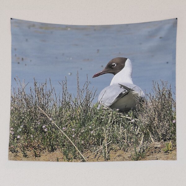 Item preview, r2437/ ornithologique-du-teich  Mouette rieuse  2018 par Okaio Créations - Olavia-Olao     designed and sold by o.okaïo.
