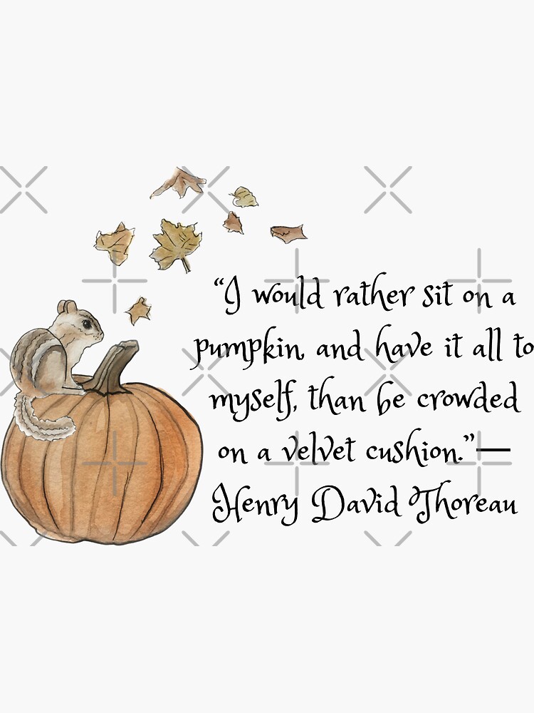"I Would Rather Sit on a Pumpkin" Illustration in Watercolor by WitchofWhimsy