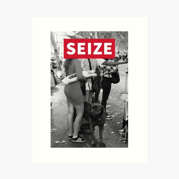 STREET SEIZE DOG Impression artistique
