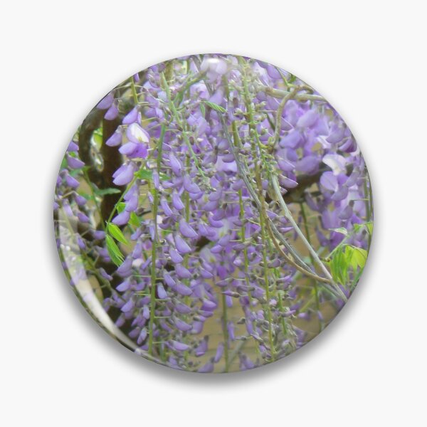 Item preview, Wisteria in Spring designed and sold by Sheila Simpson.