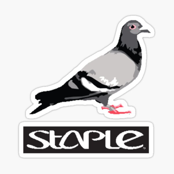 staple pigeon
