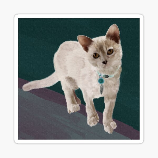 Agile Kitten Sticker